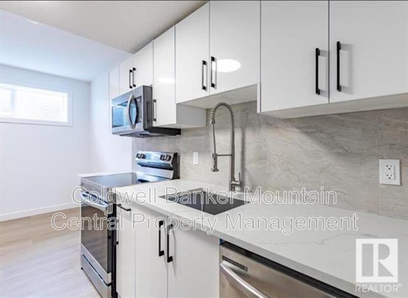 10008 162 St Nw #BS1 - Photo 5 of 7