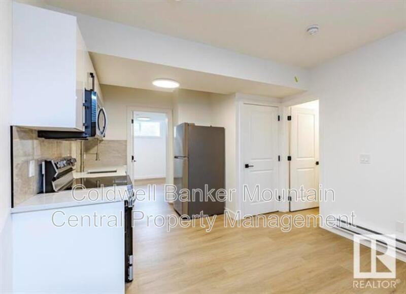 10008 162 St Nw #BS1 - Photo 7 of 7