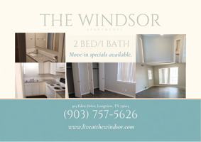 featured image of The Windsor Apartments