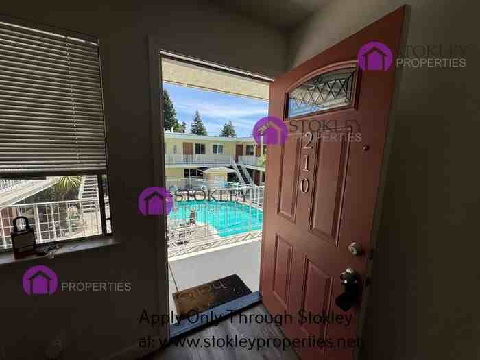 950 Dewing Ave #210 - Photo 7 of 18