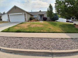 featured image of 1468 North 125 EastBasement #1
