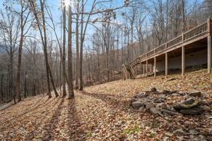 featured image of 4220 Tilley Creek Rd #1
