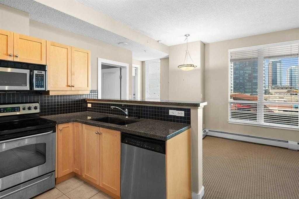1053 10 St Sw #411 - Photo 3 of 5