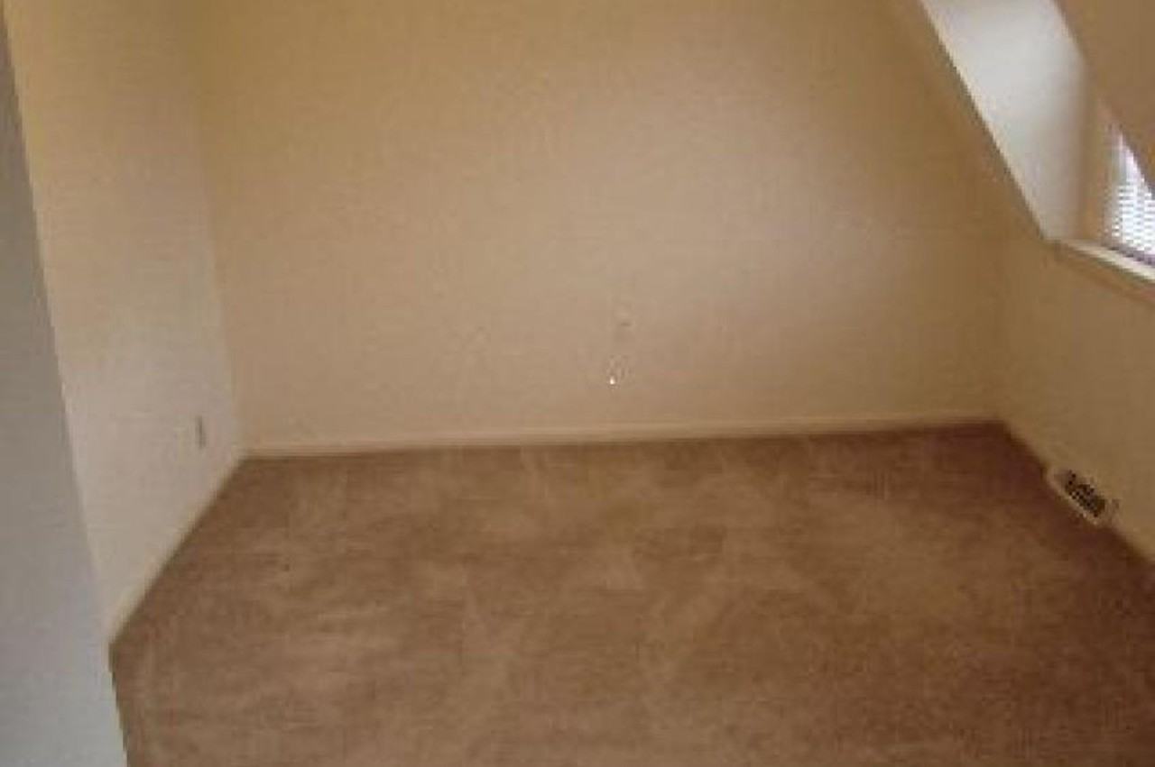 3313 Old Forest Road - Photo 3 of 16