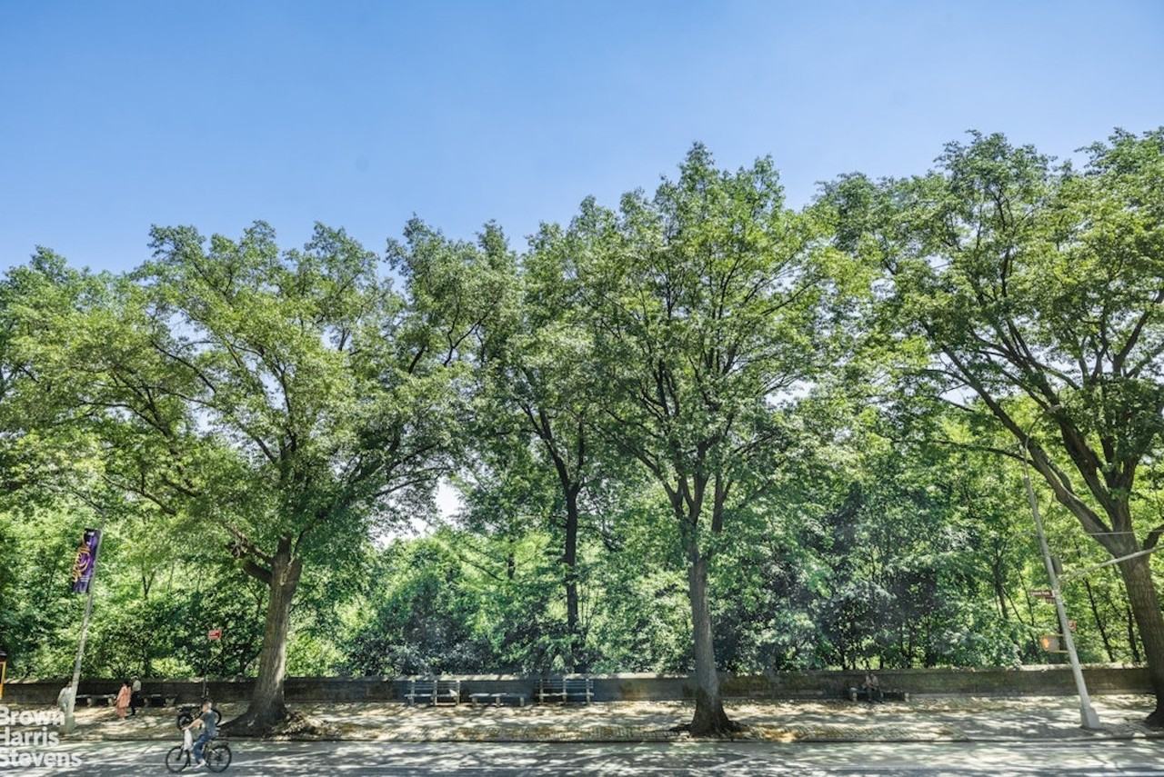 415 Central Park W #2C - Photo 6 of 9