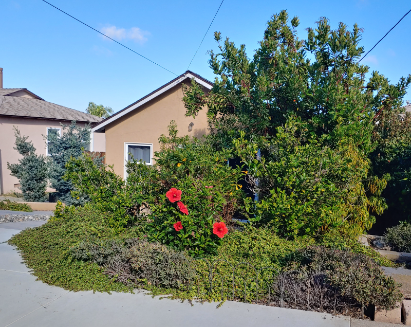 1540 Wollacott St - Photo 3 of 16
