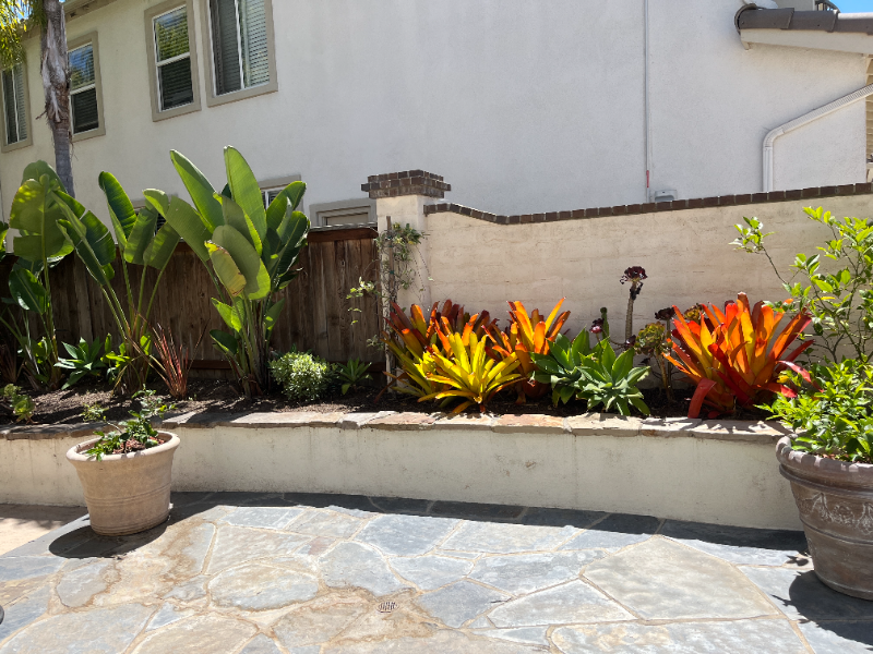 7437 Magellan St - Photo 4 of 20