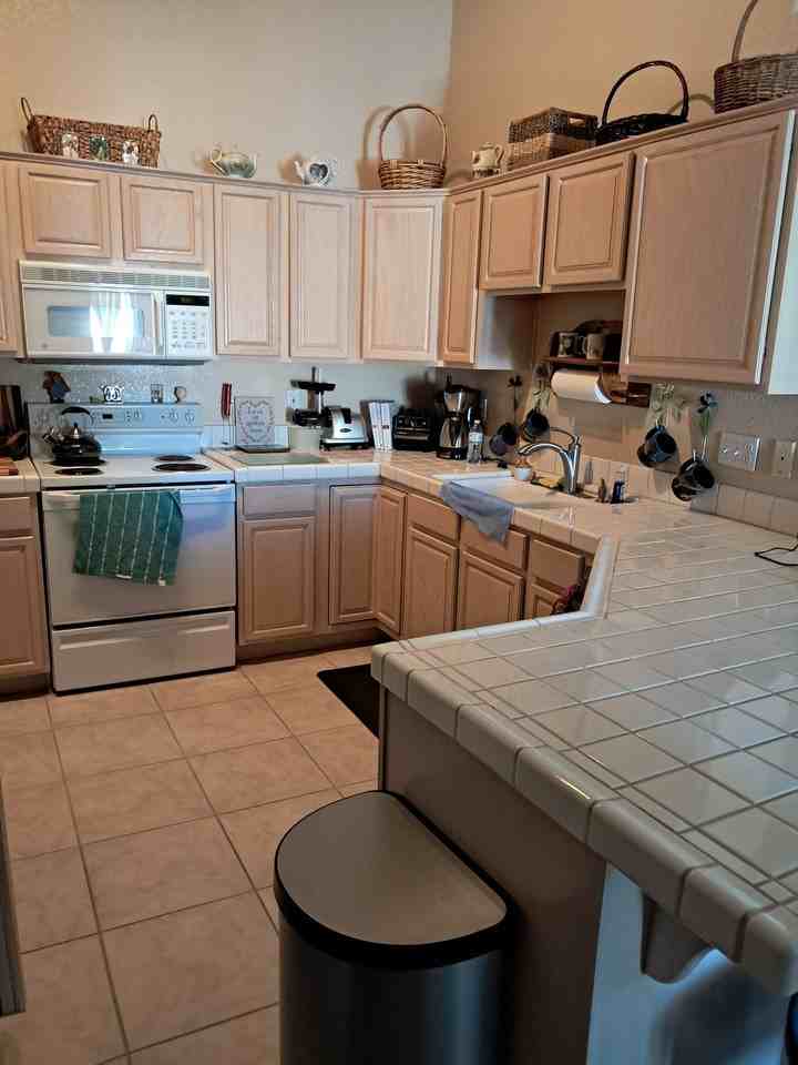 758 Mesa Springs Dr - Photo 3 of 15