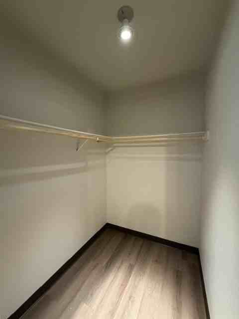 1519 Jennifer Street - Photo 6 of 9