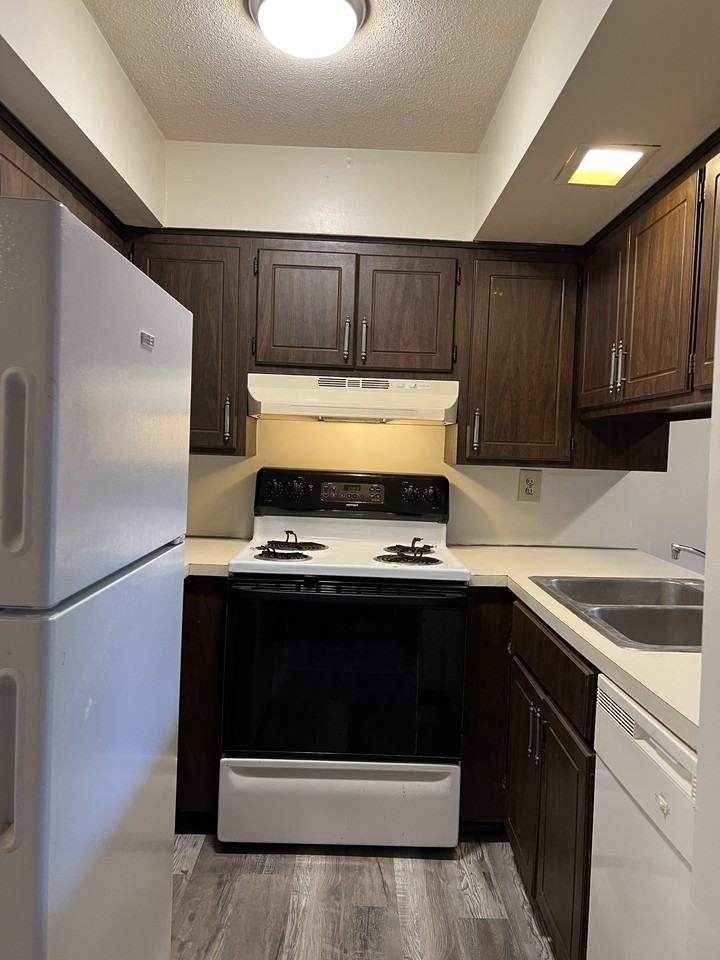 Loder Court - Photo 3 of 11