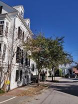 4 Marion St - Photo 1 of 1