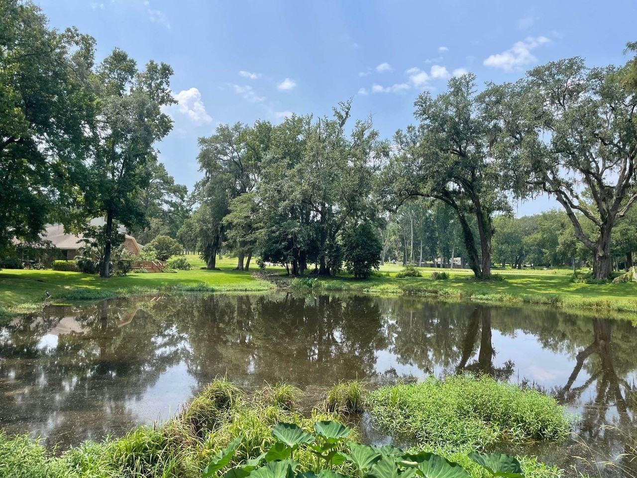 4280 River Chase - Photo 5 of 21