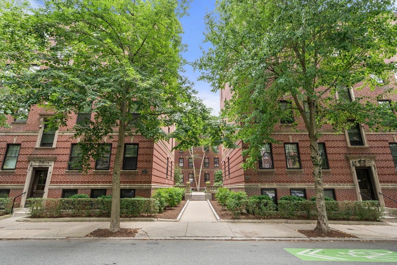40 Linnaean St #11