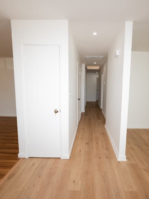 3115 Marvelle Ln #NA - Photo 6 of 20