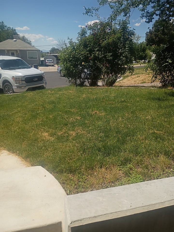 1304 East 520 South Street #NA - Photo 5 of 21