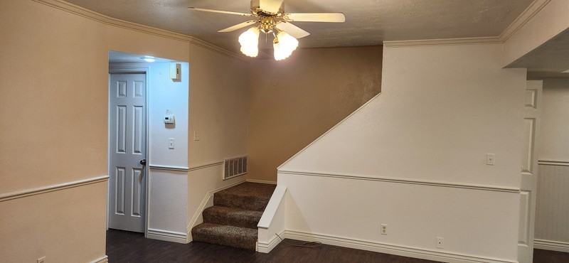 479 Es - Photo 5 of 26