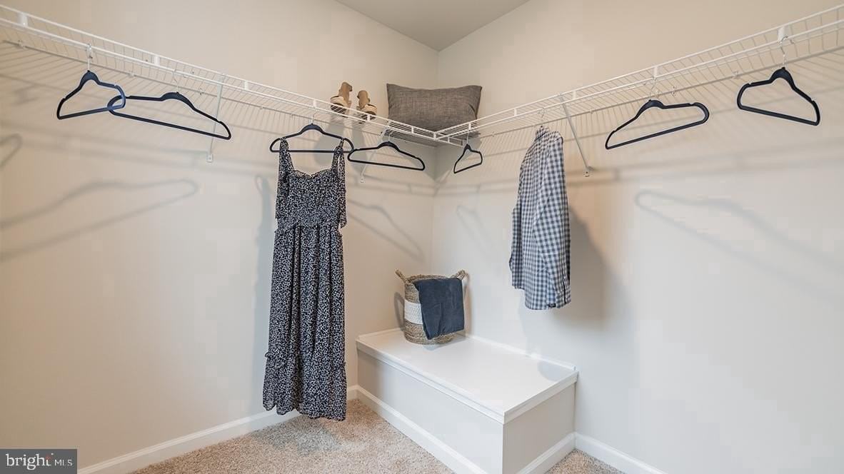 113 Mazzeo Dr - Photo 7 of 9