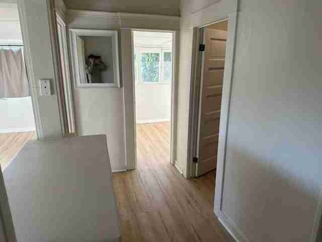 392 E Alvarado St #D - Photo 5 of 8