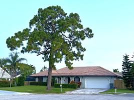 featured image of 22822 Pinewood Ct #0
