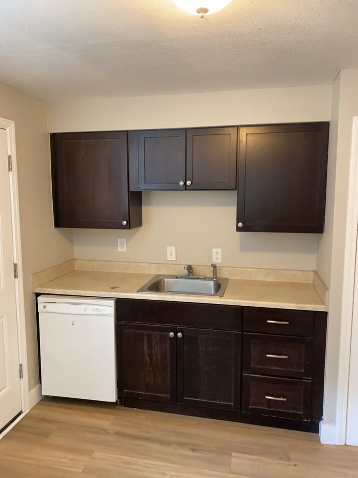 2343 S Race St - Photo 4 of 14
