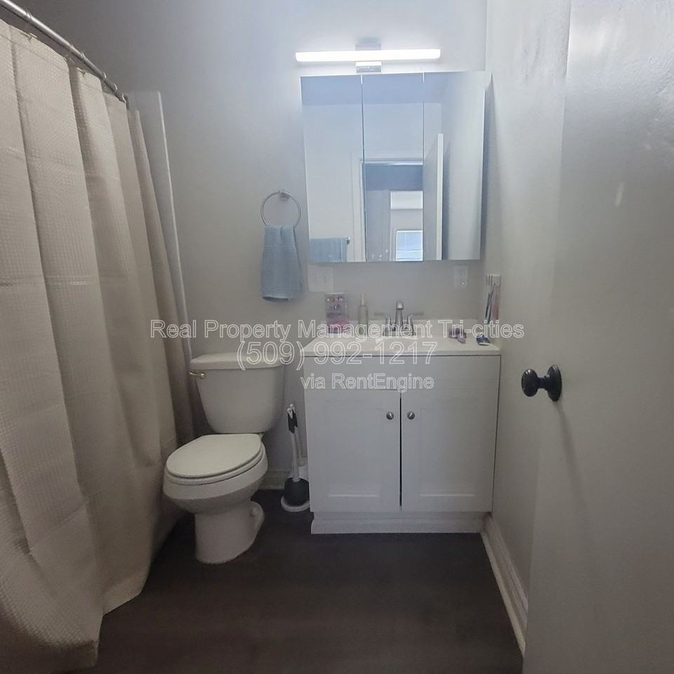 707 W Shoshone St - Photo 6 of 7