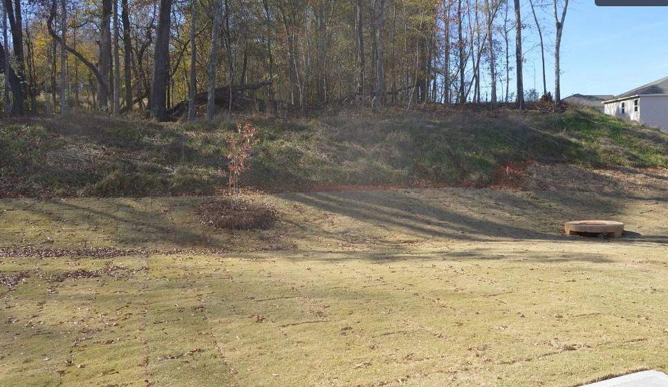 59 Osprey Overlook Dr #NA - Photo 3 of 15