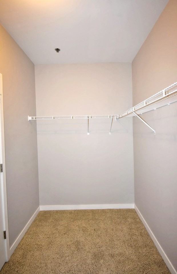 1118 Litton Ave #204 - Photo 7 of 11