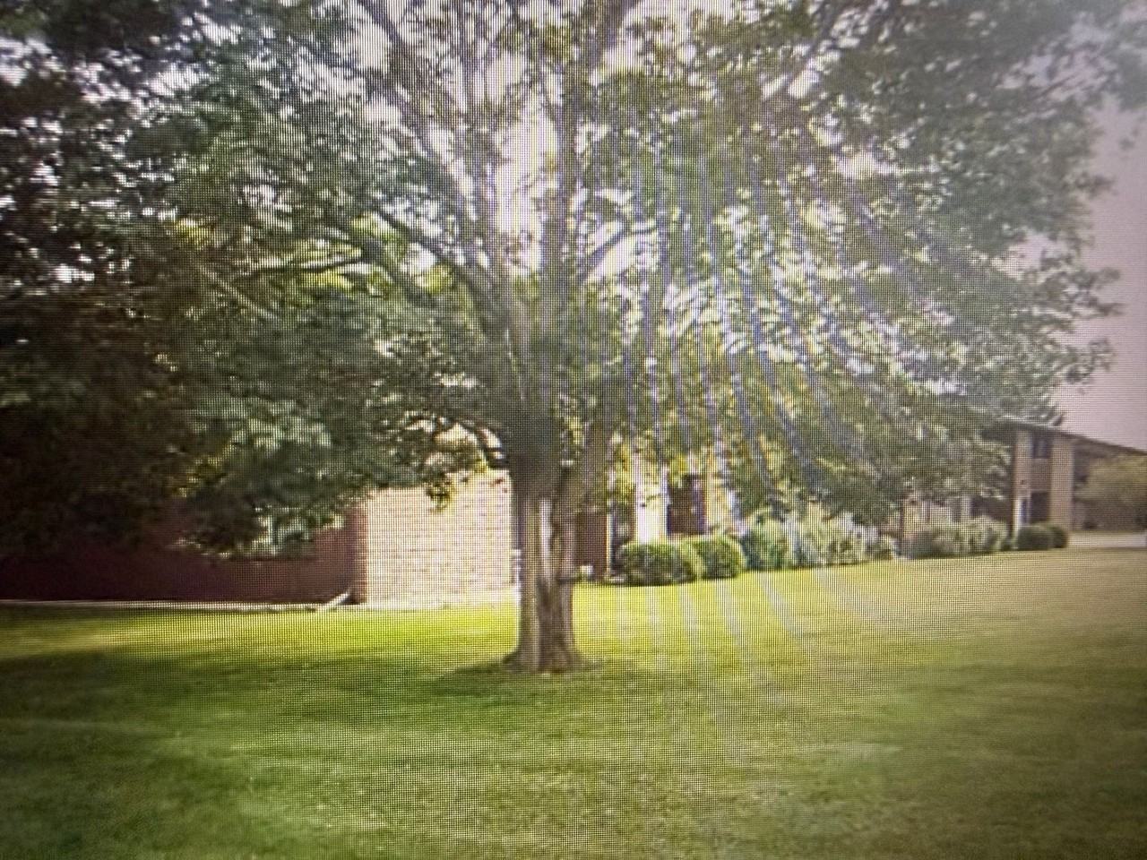 1105 Rock Ave - Photo 5 of 26