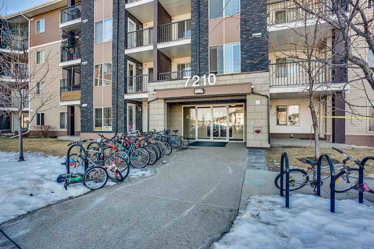 7210 80 Ave Ne #302 - Photo 2 of 17