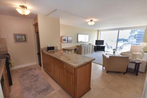featured image of 1830 Avenida Del Mundo #1002