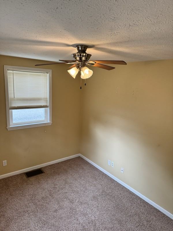 630 N Chestnut St #3 - Photo 6 of 12
