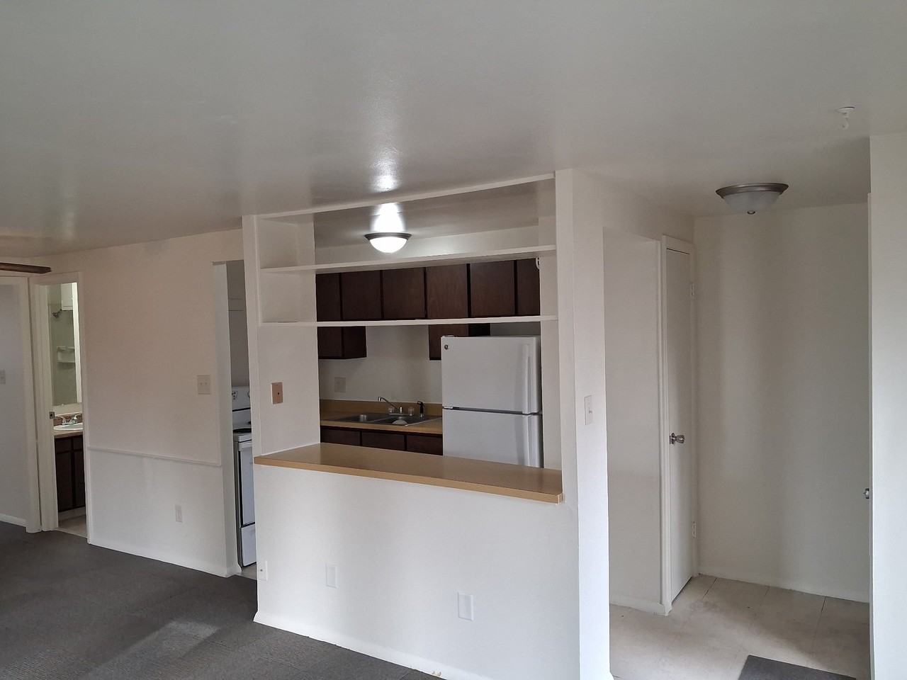 5012 Old Maysville Rd - Photo 2 of 13