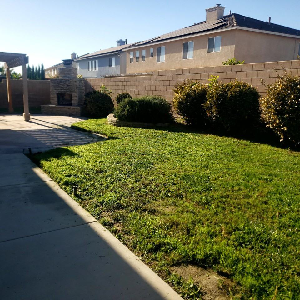 12686 Amberhill Ave - Photo 4 of 20