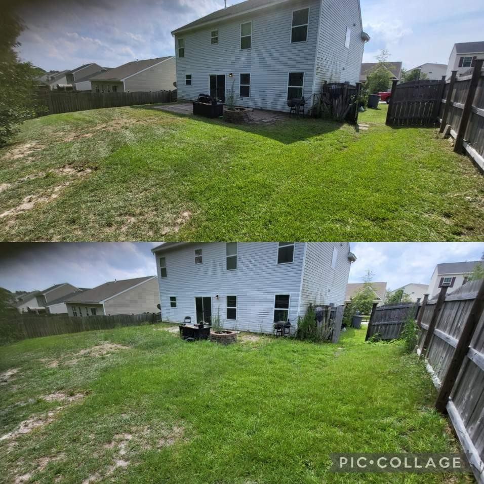 156 Finch Ln #NA - Photo 2 of 4