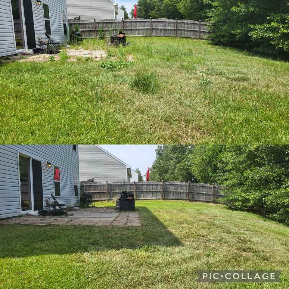 156 Finch Ln #NA - Photo 3 of 4