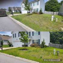 156 Finch Ln #NA - Photo 1 of 1