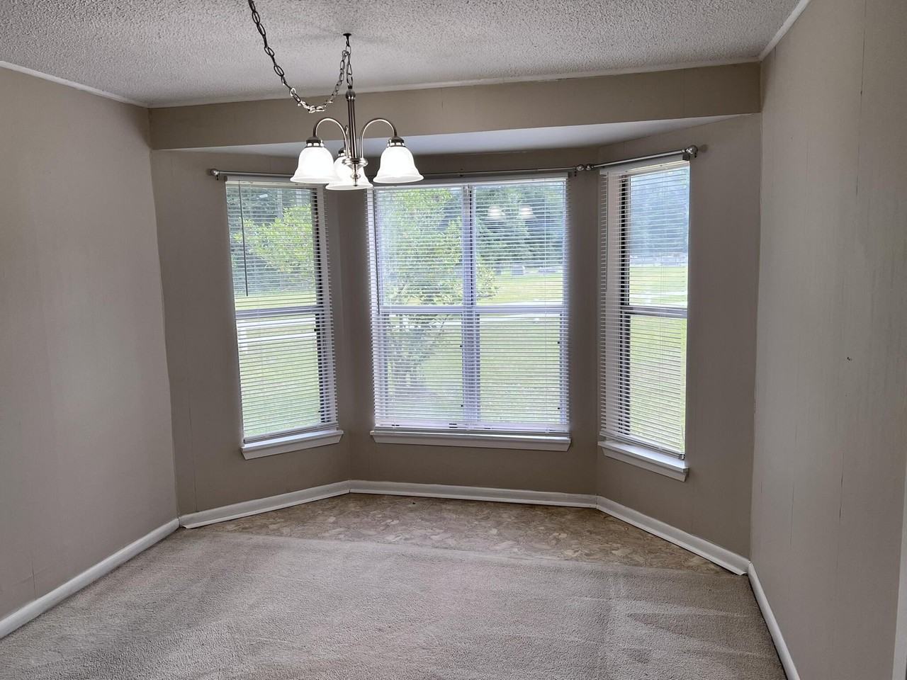 5246 Old River Rd - Photo 7 of 25