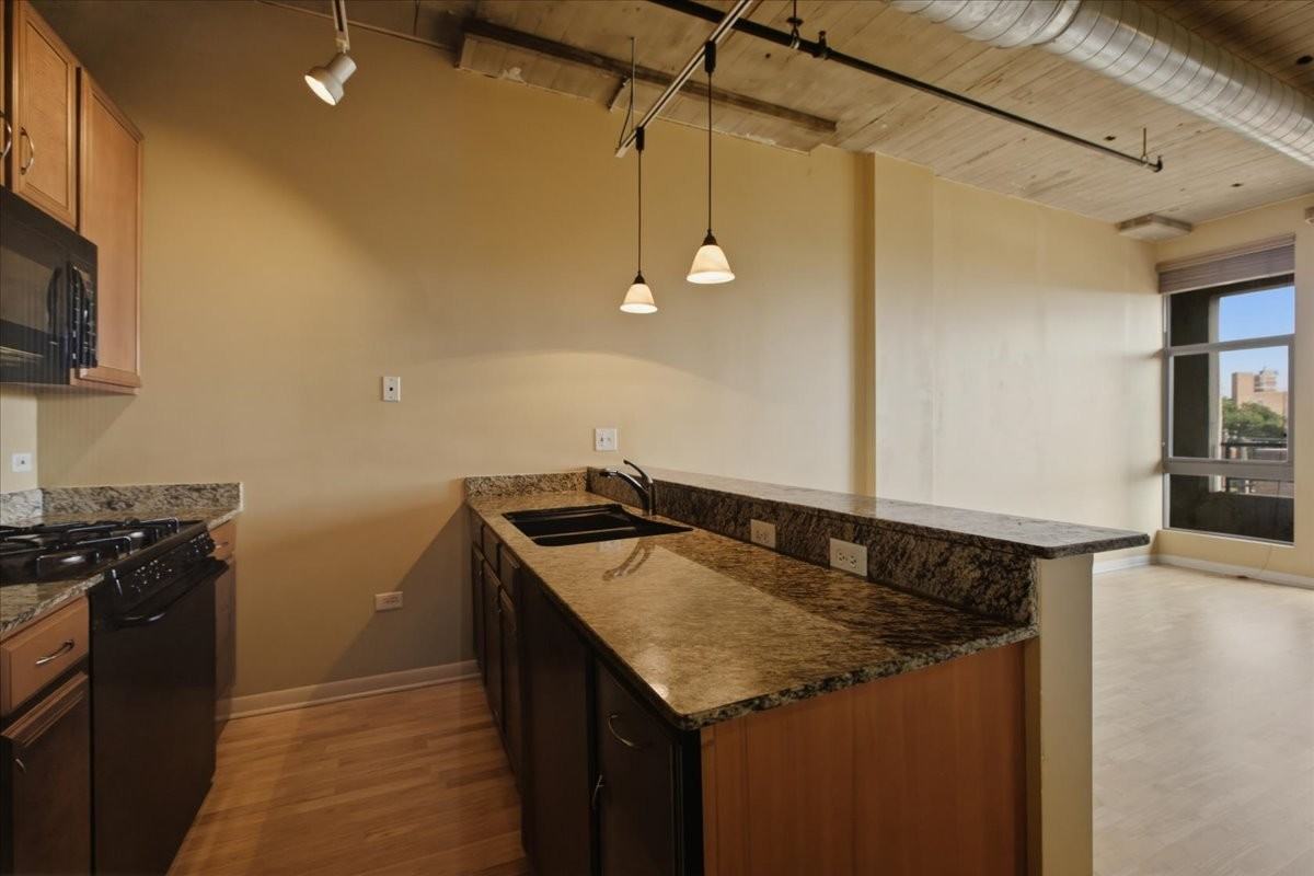 1550 S Blue Island Ave #412 - Photo 3 of 12