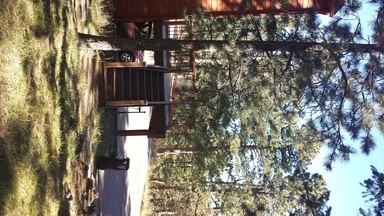 23479 Shingle Creek Rd - Photo 3 of 29