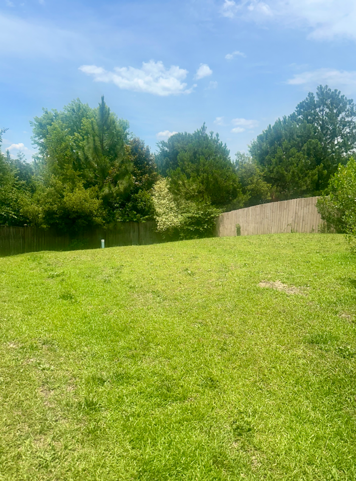 420 Cape Jasmine Way - Photo 4 of 4