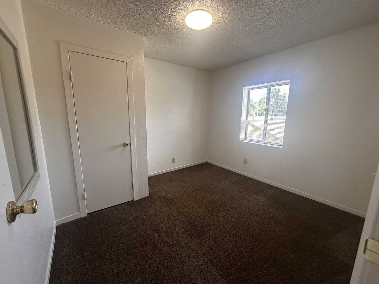 325 Alexander Ave #7 - Photo 6 of 9