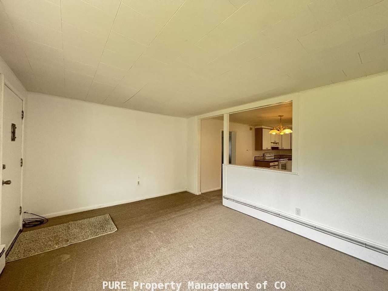 1040 Harlan St - Photo 4 of 19