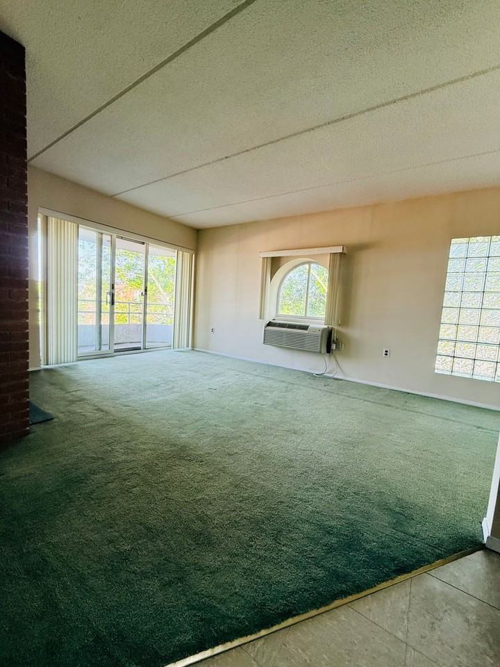205 Mineola Blvd - Photo 5 of 14