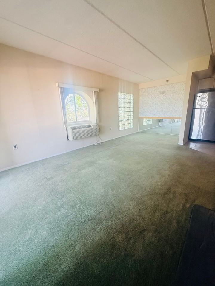 205 Mineola Blvd - Photo 7 of 14