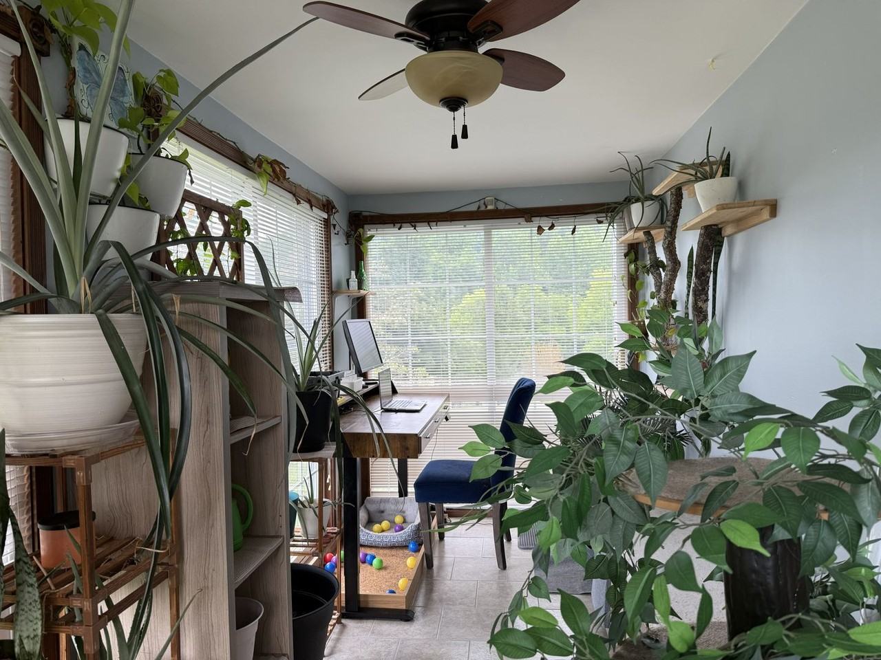 78 Ben St - Photo 7 of 35