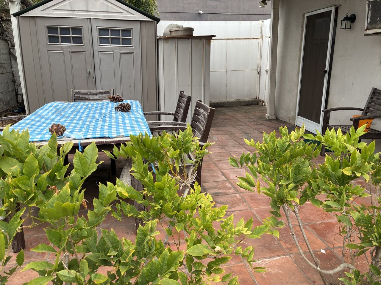 3580 Colonial Ave - Photo 5 of 5