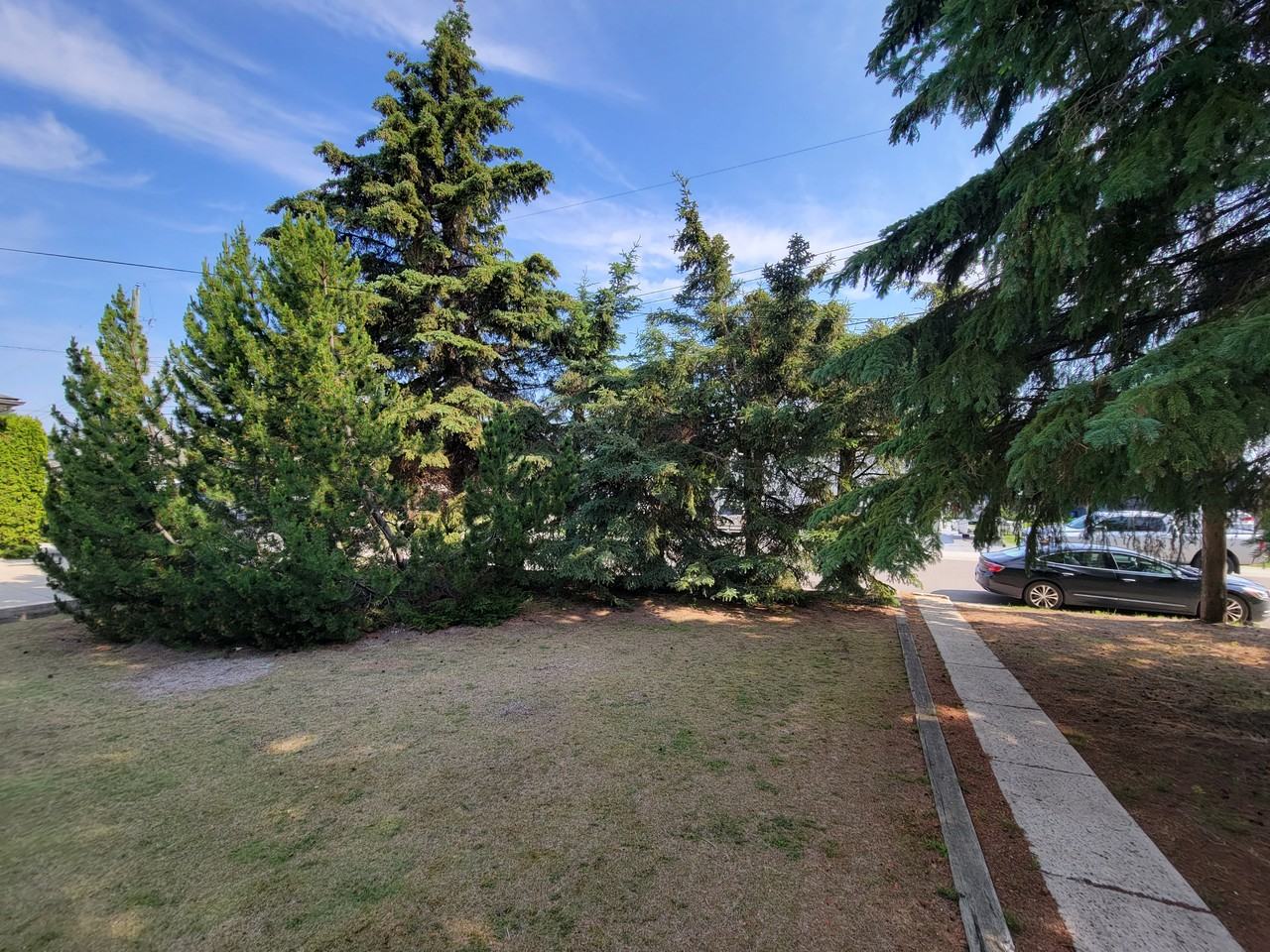 221 Birch Ave - Photo 3 of 37