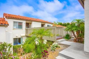 901 Caminito Estrada #C - Photo 1 of 1