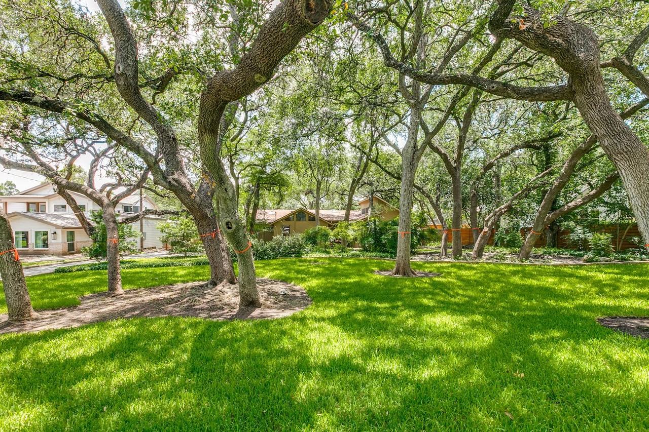 236 Castano Ave - Photo 3 of 25