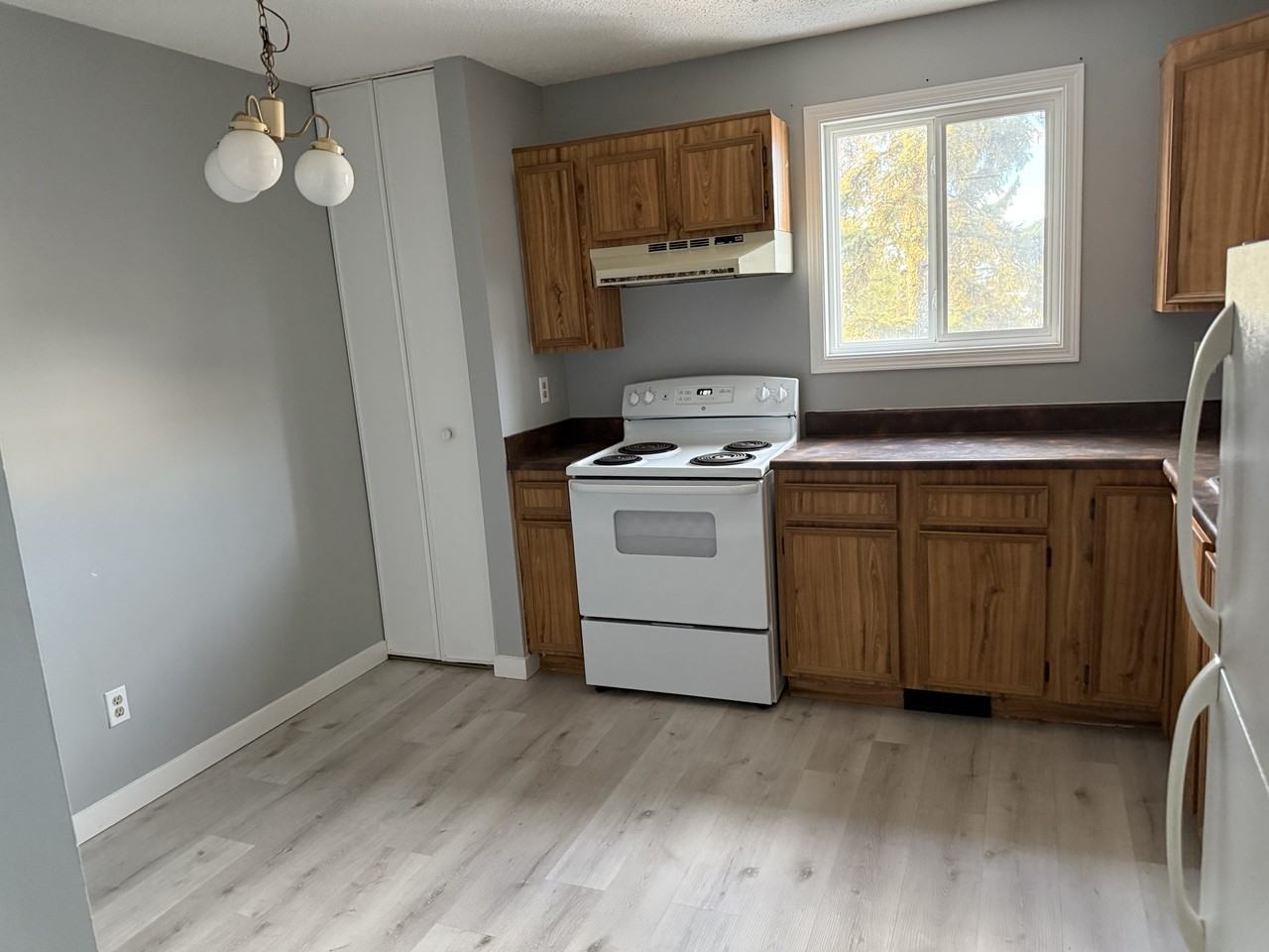 Meadow Mews Apartments - Photo 4 of 8